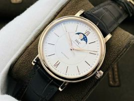 Picture of IWC Watch _SKU14221052886521524